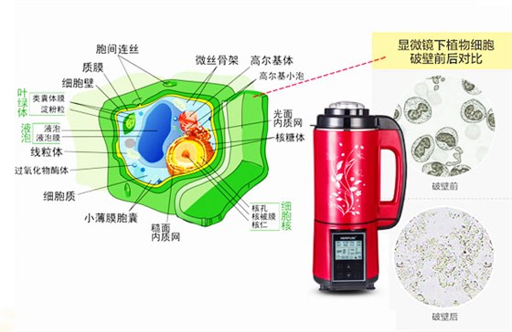 加熱破壁料理機的破壁原理